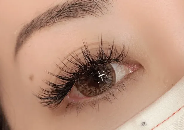 lumière Lash lab