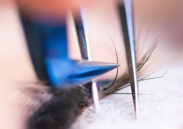 lumière Lash lab